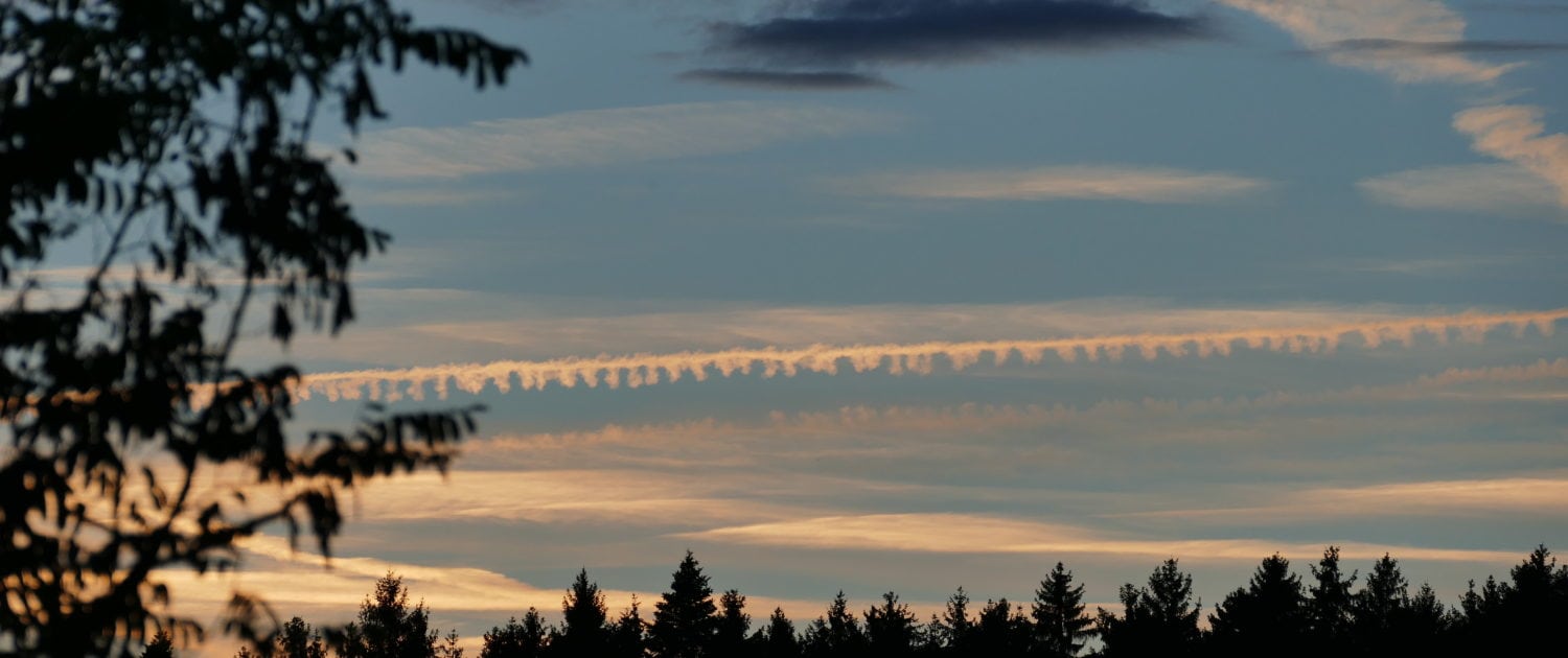 Home – Gasthaus Schlosshalde